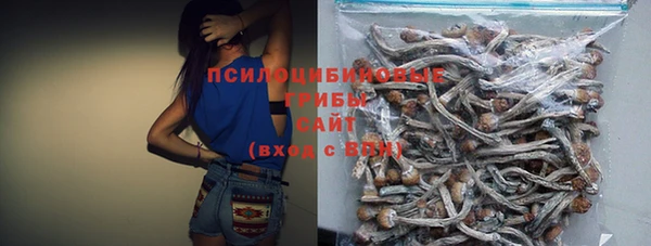 прущий лед Алзамай